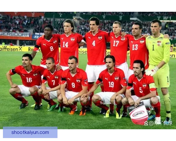 奥地利球迷热情助威，球队状态持续提升迎战关键赛事