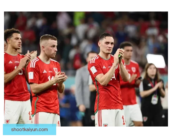 欧洲杯预选赛D组形势分析：出线竞争激烈，多队表现稳健